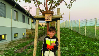 Fertiges Insektenhotel